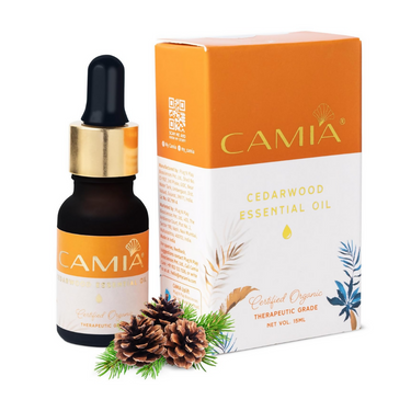 https://cdn.shopify.com/s/files/1/1857/6931/files/hXNTQGsu3K.png?v=1729518190